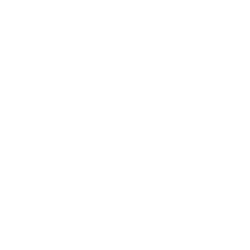 MESSENGER